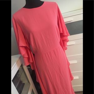 Plus Size long pink dress with dramatic sleeves